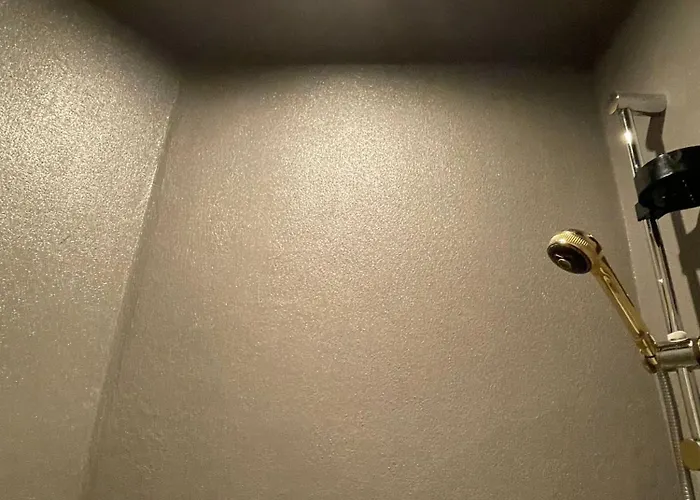 The First Luccoli Garibaldi Rolli