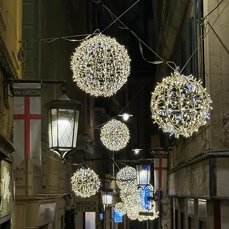 The First Luccoli Garibaldi Rolli *